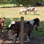 Mobil-home En Pleine Nature