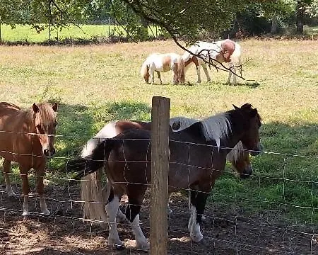 Mobil-home En Pleine Nature