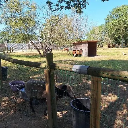 Mobil-home En Pleine Nature Campingplads