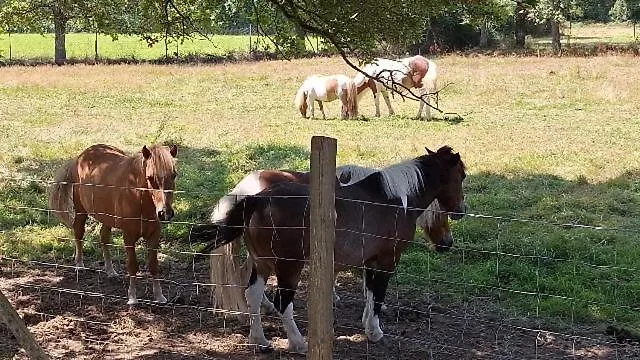 Mobil-home En Pleine Nature